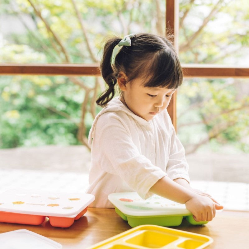 Khay ăn trẻ em cao cấp 4 ngăn có nắp hiệu Nestique N-21