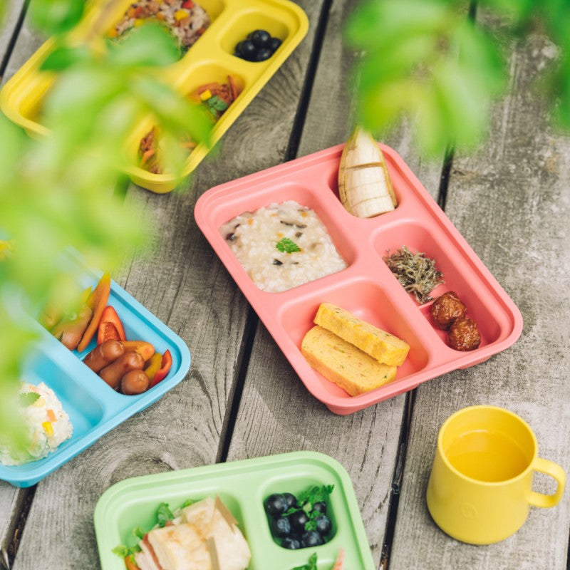 Khay ăn trẻ em cao cấp 4 ngăn có nắp hiệu Nestique N-21