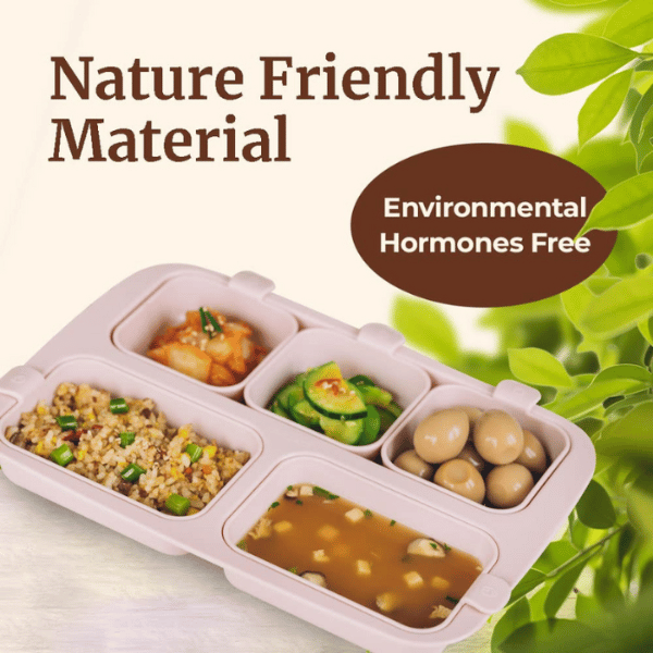 Khay ăn trẻ em cao cấp 5 ngăn hiệu Nestique N-11